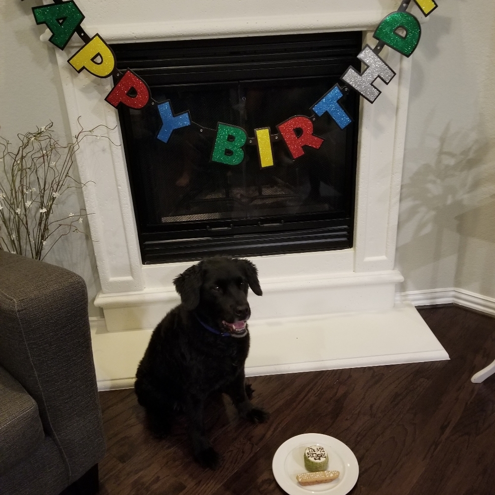 All Reasonable offers considered!